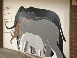 D1F580D5-3F26-4CA3-8143-52C7CA6D5DA5.jpeg D1F580D5-3F26-4CA3-8143-52C7CA6D5DA5.jpeg