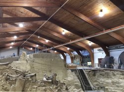 234D43F0-EC06-4A95-A7EB-570F8D758B83.jpeg 234D43F0-EC06-4A95-A7EB-570F8D758B83.jpeg