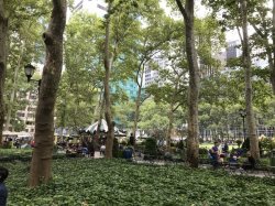 8881B969-0FBA-4EA6-92C7-F72583D73FF2.jpeg 8881B969-0FBA-4EA6-92C7-F72583D73FF2.jpeg