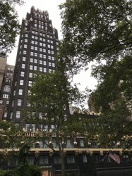 84C3D395-B868-4E36-909A-13523DD3D2A6.jpeg 84C3D395-B868-4E36-909A-13523DD3D2A6.jpeg