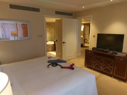 IMAG5588.jpg IMAG5588.jpg