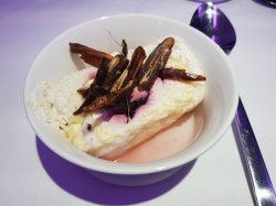 20180902_204156.jpg 20180902_204156.jpg