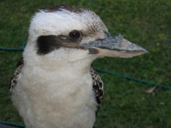 1-Pictures Up To March 2008 2045.jpg