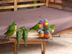 3-keeping out of the rain 4.jpg