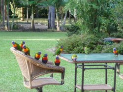 4-Our Pets April 2010.jpg