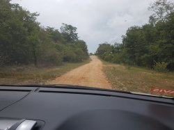 20180812_135633.jpg 20180812_135633.jpg