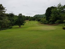 20180812_143224.jpg 20180812_143224.jpg