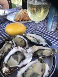 5921B125-33D0-483C-855D-41639F5B70A0.jpeg 5921B125-33D0-483C-855D-41639F5B70A0.jpeg