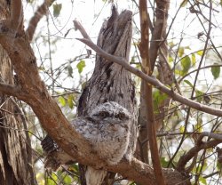 Z9ysn90FRz6osH7g7694Qw_thumb_1489.jpg Z9ysn90FRz6osH7g7694Qw_thumb_1489.jpg