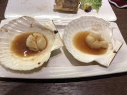 IMG_2982.JPG IMG_2982.JPG
