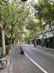 25AEDEA0-B9A2-4FB4-9ADB-CC71DC6854AC.jpeg 25AEDEA0-B9A2-4FB4-9ADB-CC71DC6854AC.jpeg