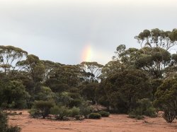 500D27C9-F1BE-4BB2-80A0-4BB8DE3CC1B9.jpeg 500D27C9-F1BE-4BB2-80A0-4BB8DE3CC1B9.jpeg