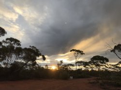 29177E9F-E7B4-408E-A79D-CF1B548A6F7C.jpeg 29177E9F-E7B4-408E-A79D-CF1B548A6F7C.jpeg