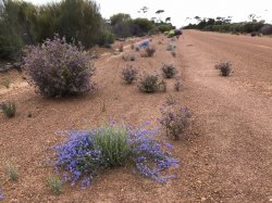 5C88B40B-A5FC-4877-9C7E-603D7CA84E1E.jpeg 5C88B40B-A5FC-4877-9C7E-603D7CA84E1E.jpeg