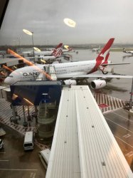 bda - 1.jpg bda - 1.jpg