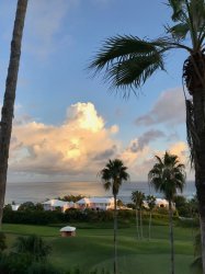 bda - 5.jpg bda - 5.jpg