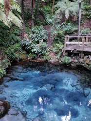 20181020_190707.jpg 20181020_190707.jpg