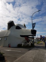 20181021_101659.jpg 20181021_101659.jpg