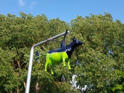 20181021_174249.jpg 20181021_174249.jpg