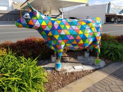 20181021_172047.jpg 20181021_172047.jpg