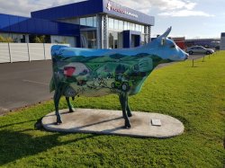 20181021_174913.jpg 20181021_174913.jpg