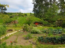 20181022_100837.jpg 20181022_100837.jpg