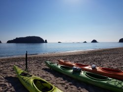 20181023_085843.jpg 20181023_085843.jpg