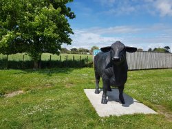 20181025_123943.jpg 20181025_123943.jpg