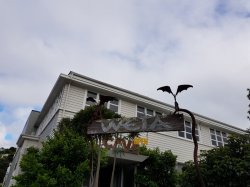 20181026_090546.jpg 20181026_090546.jpg