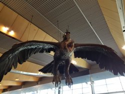 20181026_115050.jpg 20181026_115050.jpg