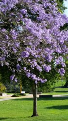 20181027_153848.jpg 20181027_153848.jpg