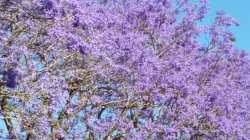 20181027_153210.jpg 20181027_153210.jpg