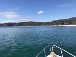 C9D6759E-77D9-4D42-94CC-48F2693C2A1D.jpeg C9D6759E-77D9-4D42-94CC-48F2693C2A1D.jpeg