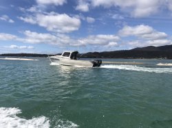 C0935A0F-9364-43F1-BA73-D3F3DB14D9B1.jpeg C0935A0F-9364-43F1-BA73-D3F3DB14D9B1.jpeg