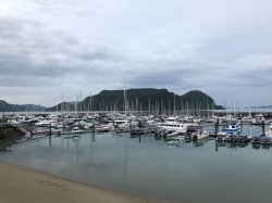 00B02F3B-A621-4A57-BECD-B853FB18F740.jpeg 00B02F3B-A621-4A57-BECD-B853FB18F740.jpeg