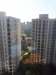 20181028_101013.jpg 20181028_101013.jpg