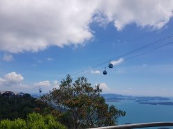 20181027_134915.jpg 20181027_134915.jpg