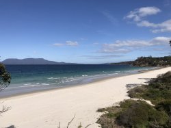 05FD95A5-EC69-4775-872C-7D171133B95E.jpeg 05FD95A5-EC69-4775-872C-7D171133B95E.jpeg