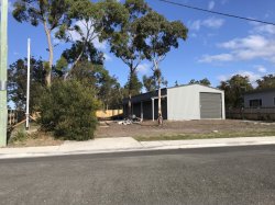 IMG_4595.jpg IMG_4595.jpg