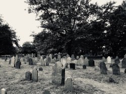 sal - 1.jpg sal - 1.jpg