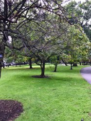 bos - 1.jpg bos - 1.jpg