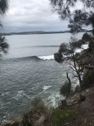 E163C14C-C139-4A5C-BA47-15F651D23F97.jpeg E163C14C-C139-4A5C-BA47-15F651D23F97.jpeg