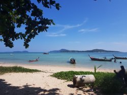 20181123_133829.jpg 20181123_133829.jpg