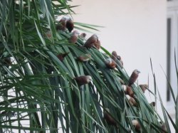 IMG_3257.JPG IMG_3257.JPG