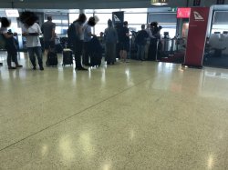 9377CC8A-61FA-4D99-B023-DD8DF89C0C8A.jpeg 9377CC8A-61FA-4D99-B023-DD8DF89C0C8A.jpeg