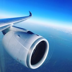 9814472C-AD26-4DB7-9C05-7811B4227107.jpeg 9814472C-AD26-4DB7-9C05-7811B4227107.jpeg