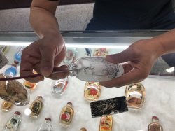 IMG_9673.JPG IMG_9673.JPG