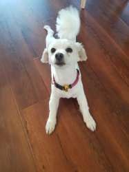 20181215_091333.jpg 20181215_091333.jpg