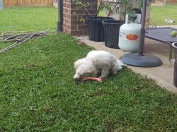 20181204_064856.jpg 20181204_064856.jpg