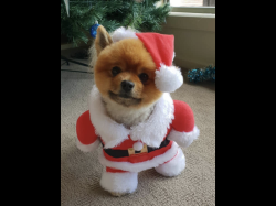 2EFB1639-783D-475D-9875-3ED811D8E17F.png 2EFB1639-783D-475D-9875-3ED811D8E17F.png